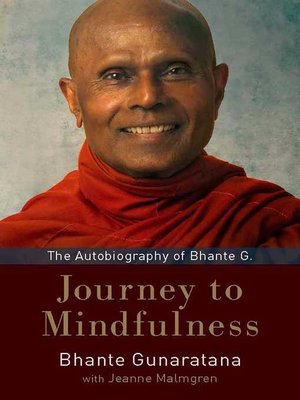 cover image of Journey to Mindfulness